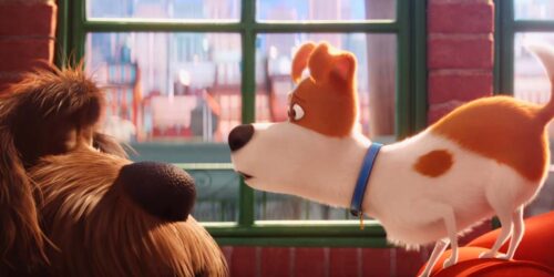 Clip Max cerca di incastrare Duke – Pets Vita da animali