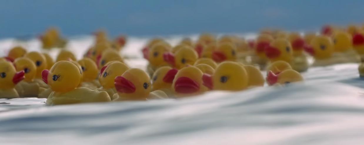 Clip Paperelle da Piuma di Roan Johnson