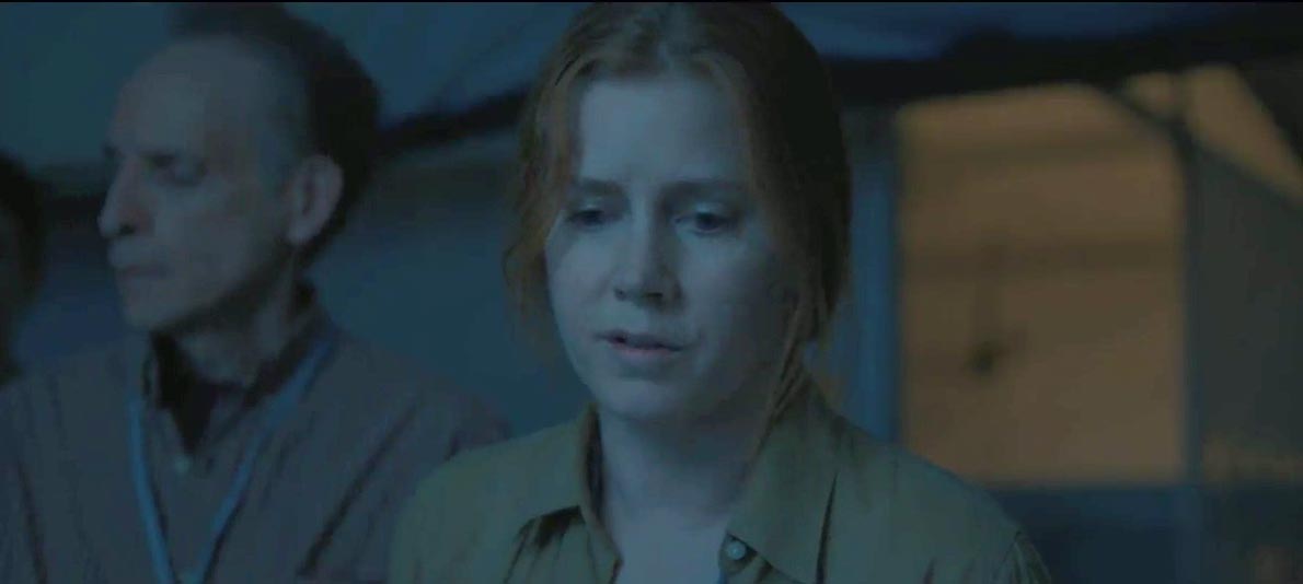Arrival - Clip They are not leaving