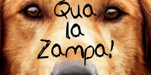 Qua la zampa con la voce di Gerry Scotti in DVD e Blu-ray