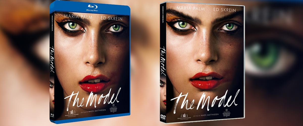 The Model in DVD e Blu-ray