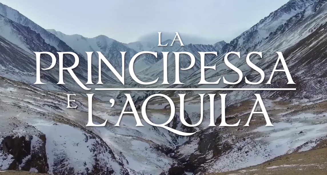 La principessa e l'aquila al cinema