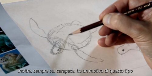 La Tartaruga Rossa – M. Dudok De Wit spiega come disegnare la Tartaruga