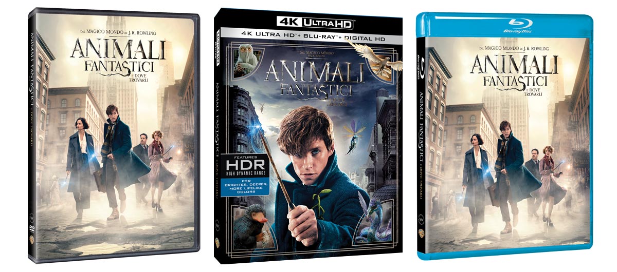 animali-fantastici-e-dove-trovarli-cinema-homevideo-dvd-bluray-4k-uhd