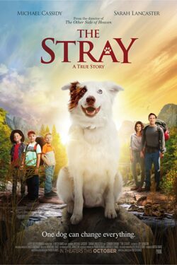 Locandina The Stray 2017 Mitch Davis