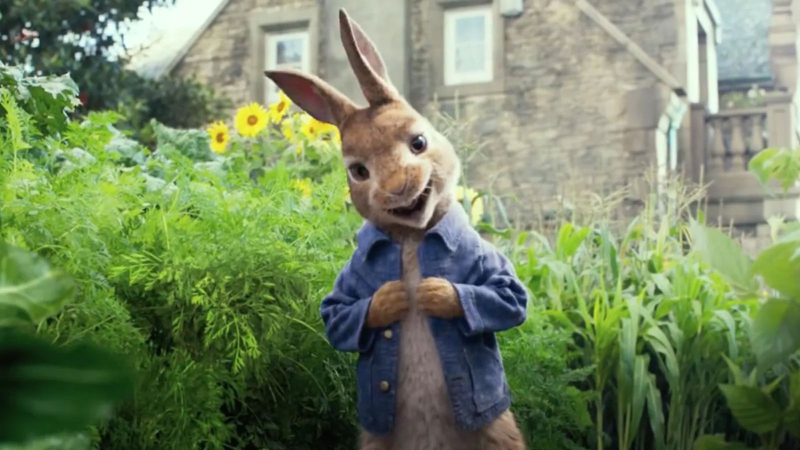 Peter Rabbit [credit: Ufficio Stampa Rai]