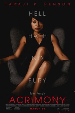 locandina Tyler Perry’s Acrimony