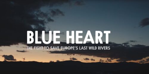 Blue Heart – Trailer (2018)