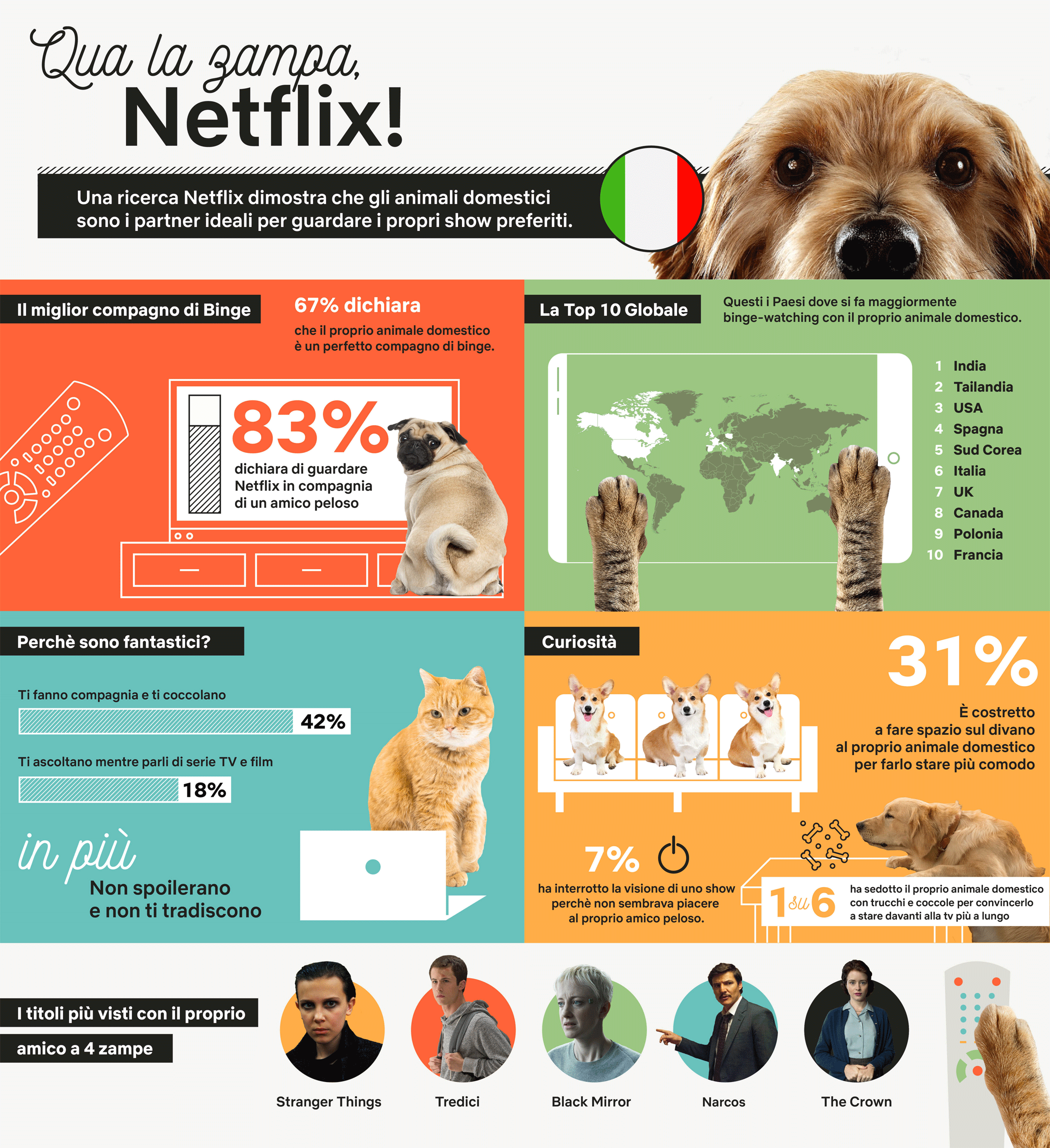 netflix-il-proprio-animale-domestico-un-perfetto-compagno-di-binge-watching