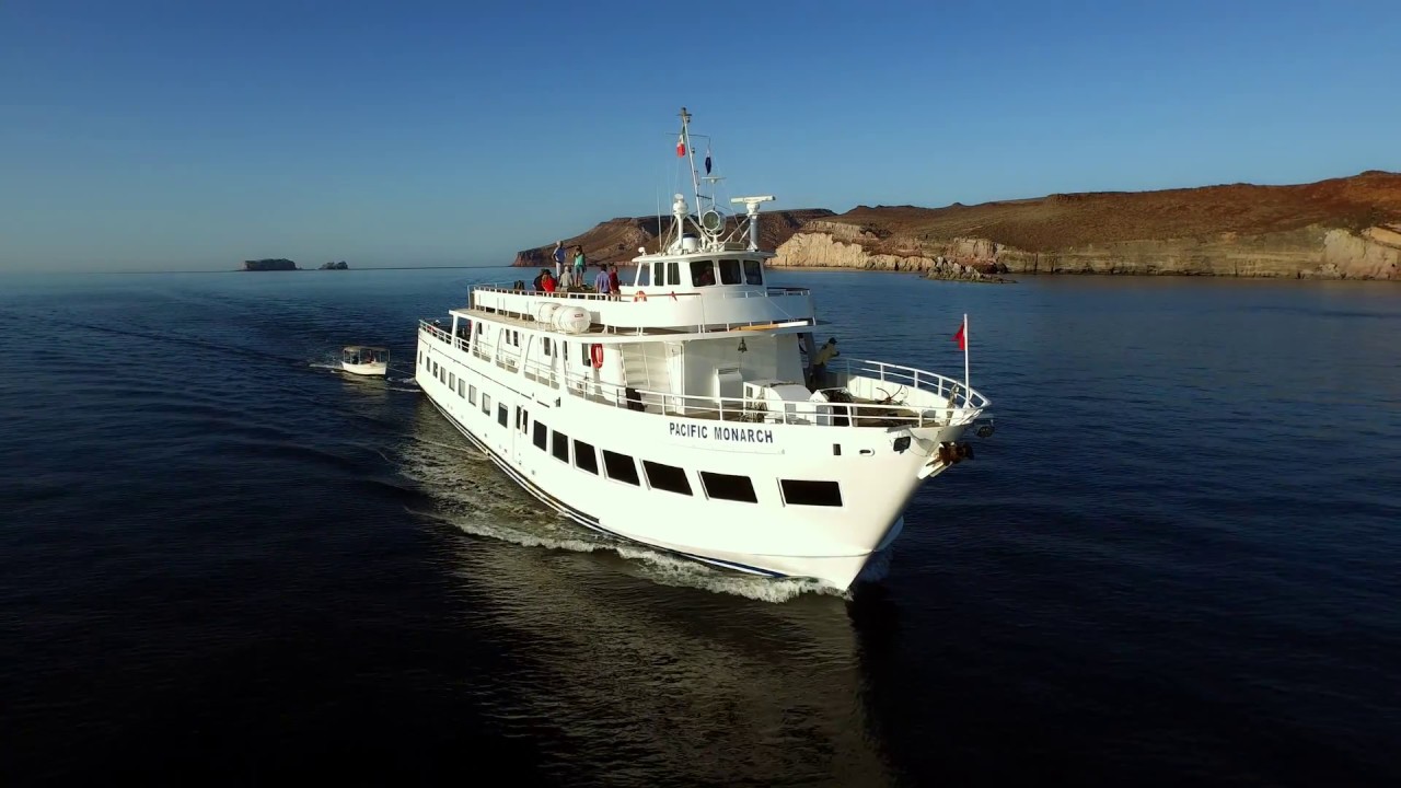 Clip Cousteau e il Mare di Cortés dal film Le Meraviglie Del Mare