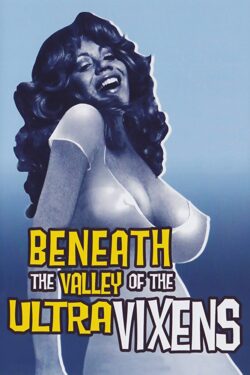 locandina Beneath the Valley of the Ultra-Vixens