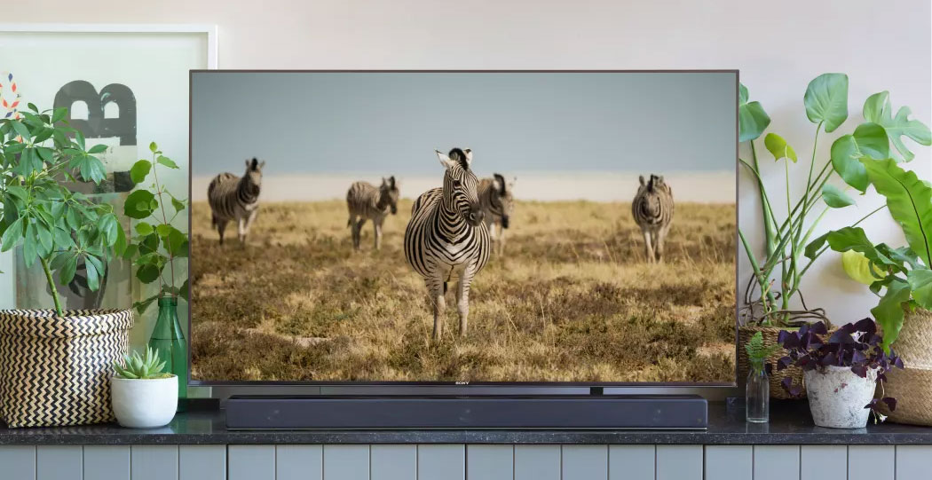 Sony soundbar HT-ZF9