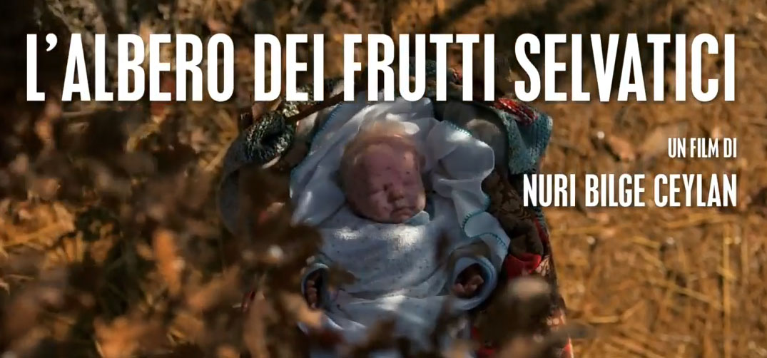 Trailer L'albero dei frutti selvatici di Nuri Bilge Ceylan