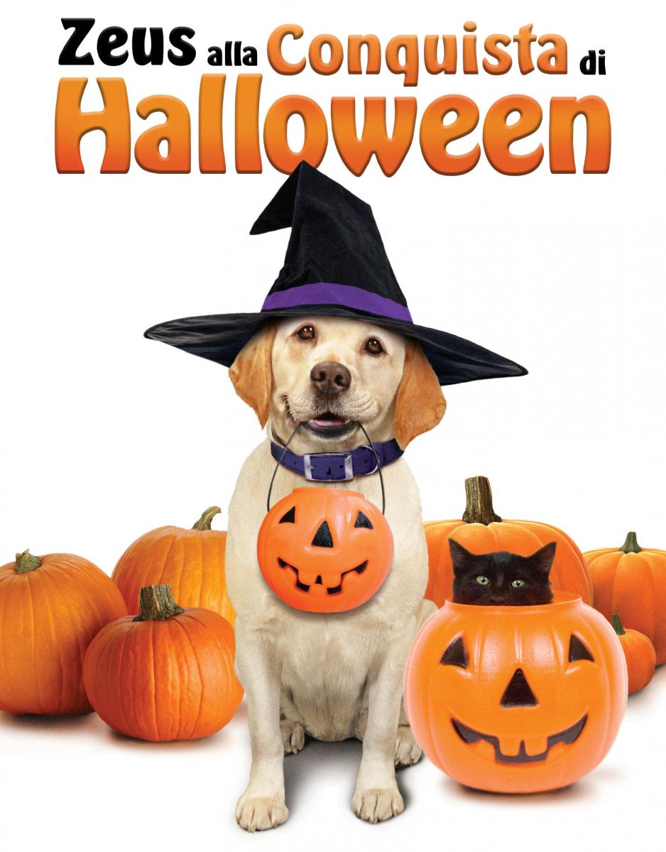 Zeus Alla Conquista Di Halloween