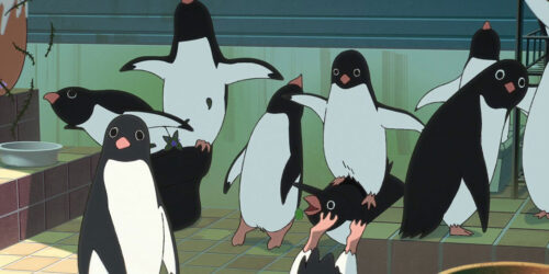 Trailer Penguin Highway di Hiroyasu Ishidac