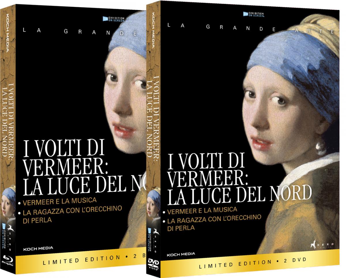 I VOLTI DI VERMEER: LA LUCE DEL NORD