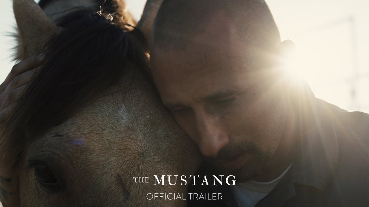 The Mustang: Matthias Schoenaerts sussurra ai cavalli