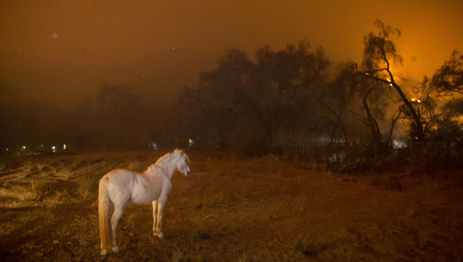 Cambiamenti Climatici: La Grande Sfida su National Geographic