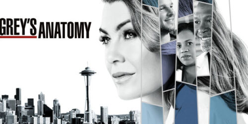 Grey’s Anatomy 14 su Fox Life