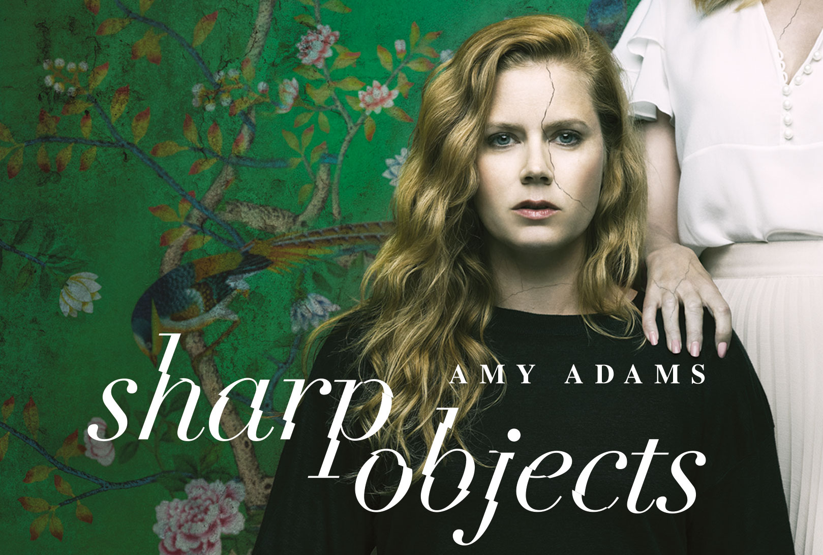 Sharp Objects, la serie con Amy Adams in DVD e Blu-ray
