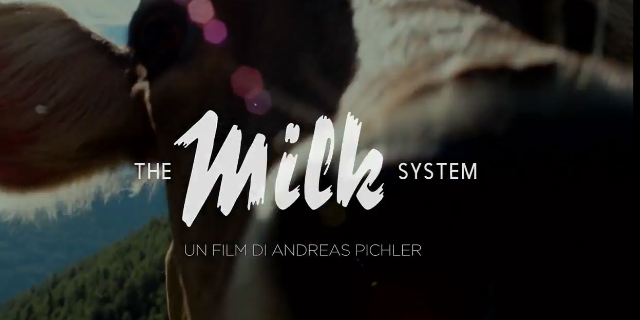 Trailer The Milk System di Andreas Pichler