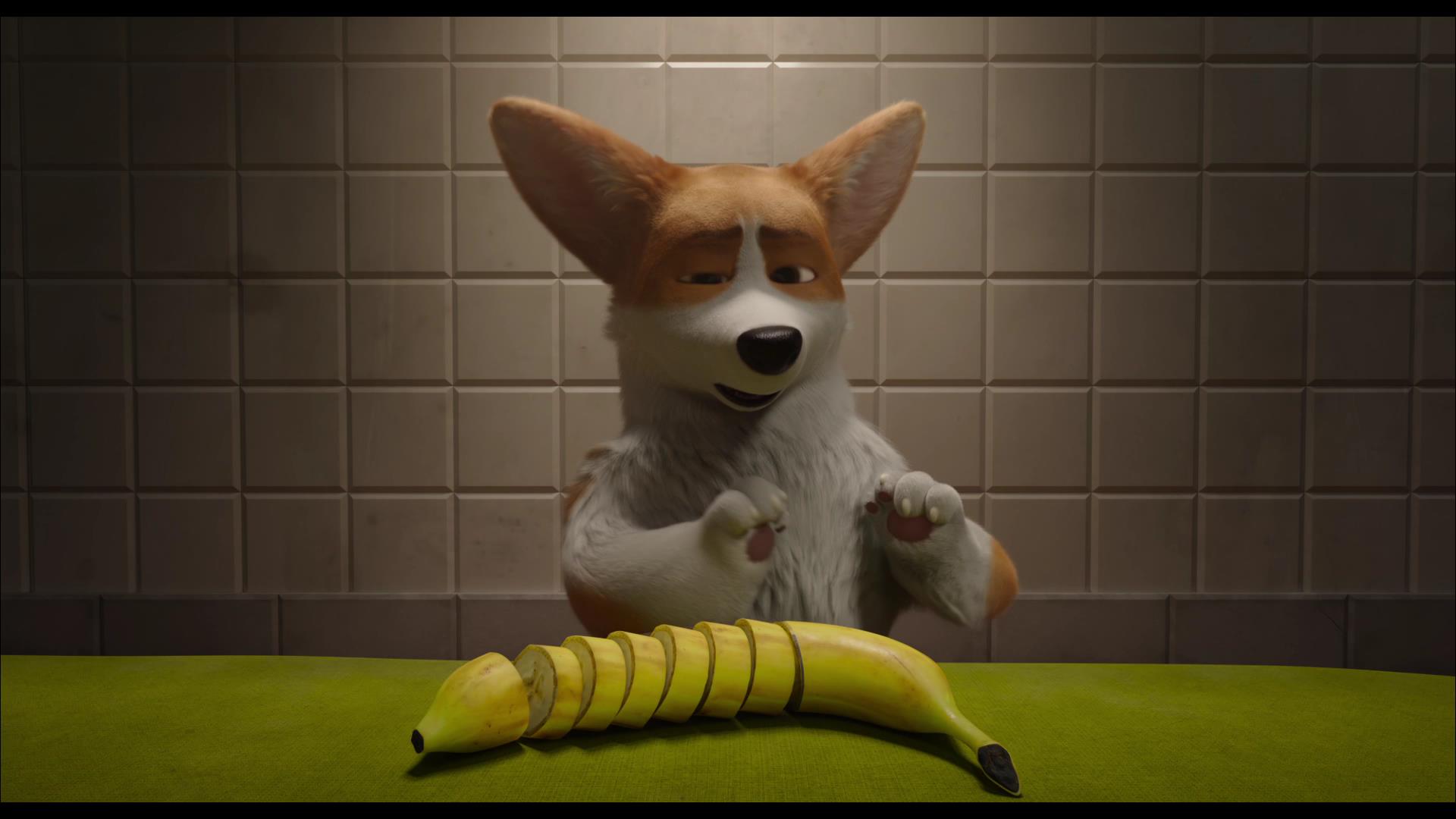 Rex - Un Cucciolo a Palazzo, Clip dal film d'animazione al cinema da febbraio