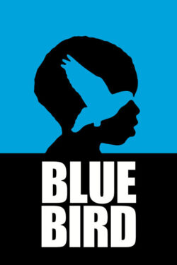 locandina Blue Bird