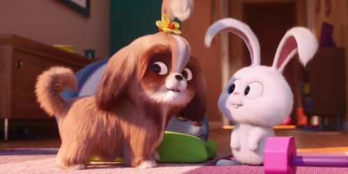 Pets 2 – Vita da Animali, clip Conoscete Capitan Nevosetto?