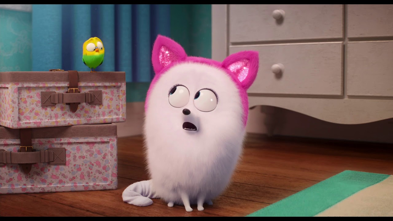 Pets 2 - Vita da Animali, clip Gidget prende lezioni da Chloe