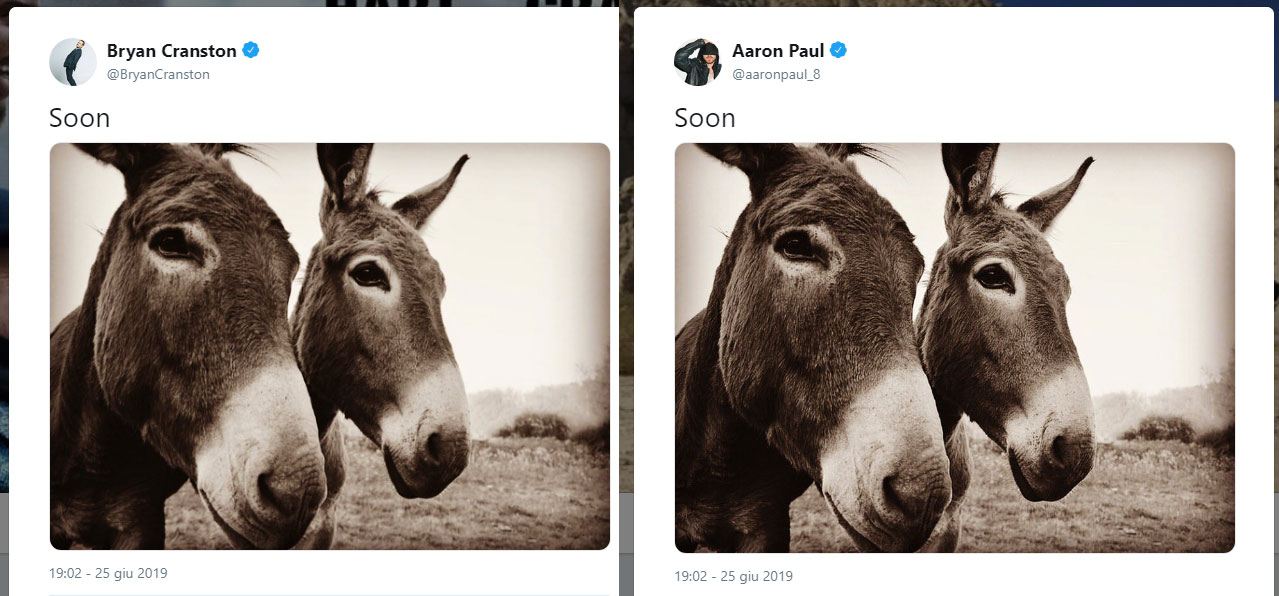 Aaron Paul e Bryan Cranston Twitter Breaking Bad