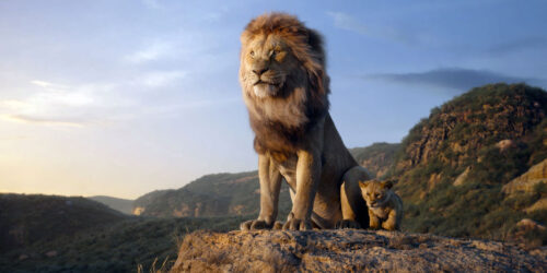 Il Re Leone, recensione del film Disney in live action