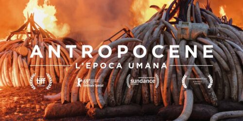 Trailer Antropocene – L’epoca umana