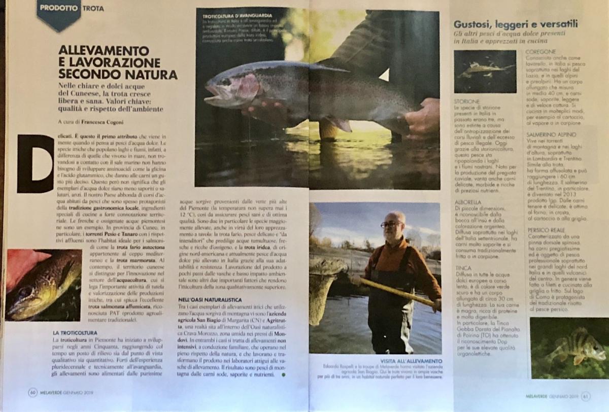 MELAVERDE MAGAZINE GENNAIO 2019