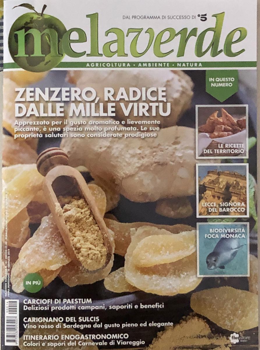 MELAVERDE MAGAZINE FEBBRAIO 2019