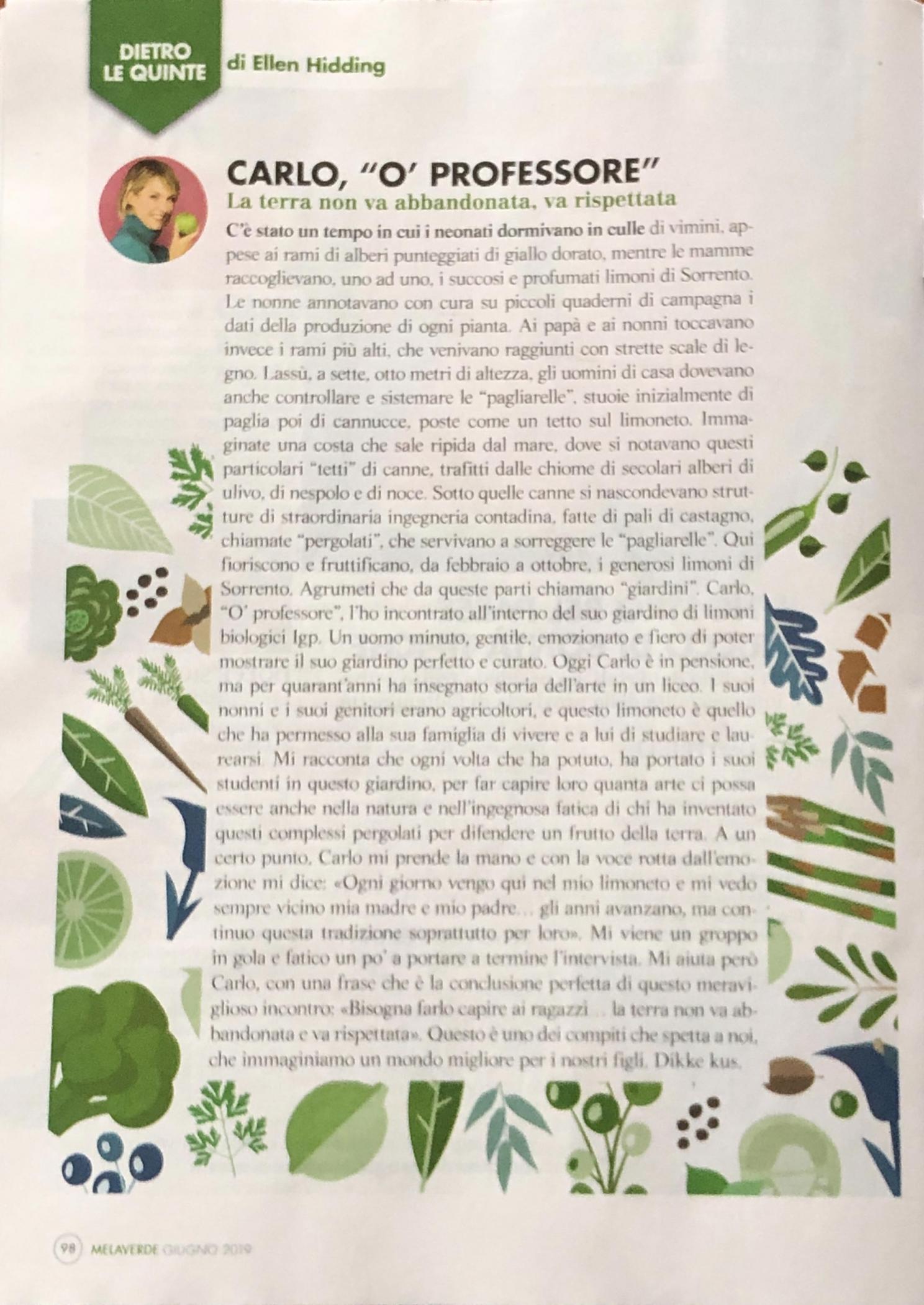 MELAVERDE MAGAZINE GIUGNO 2019