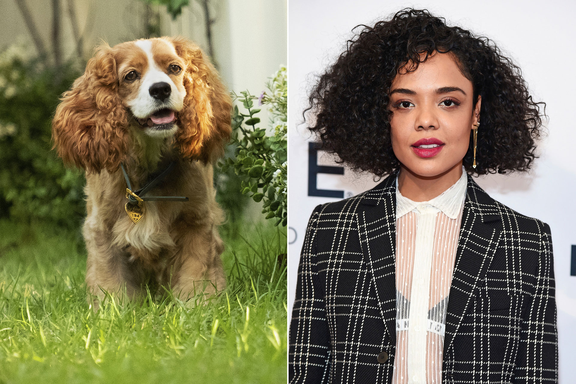 Tessa-Thompson e' Lady