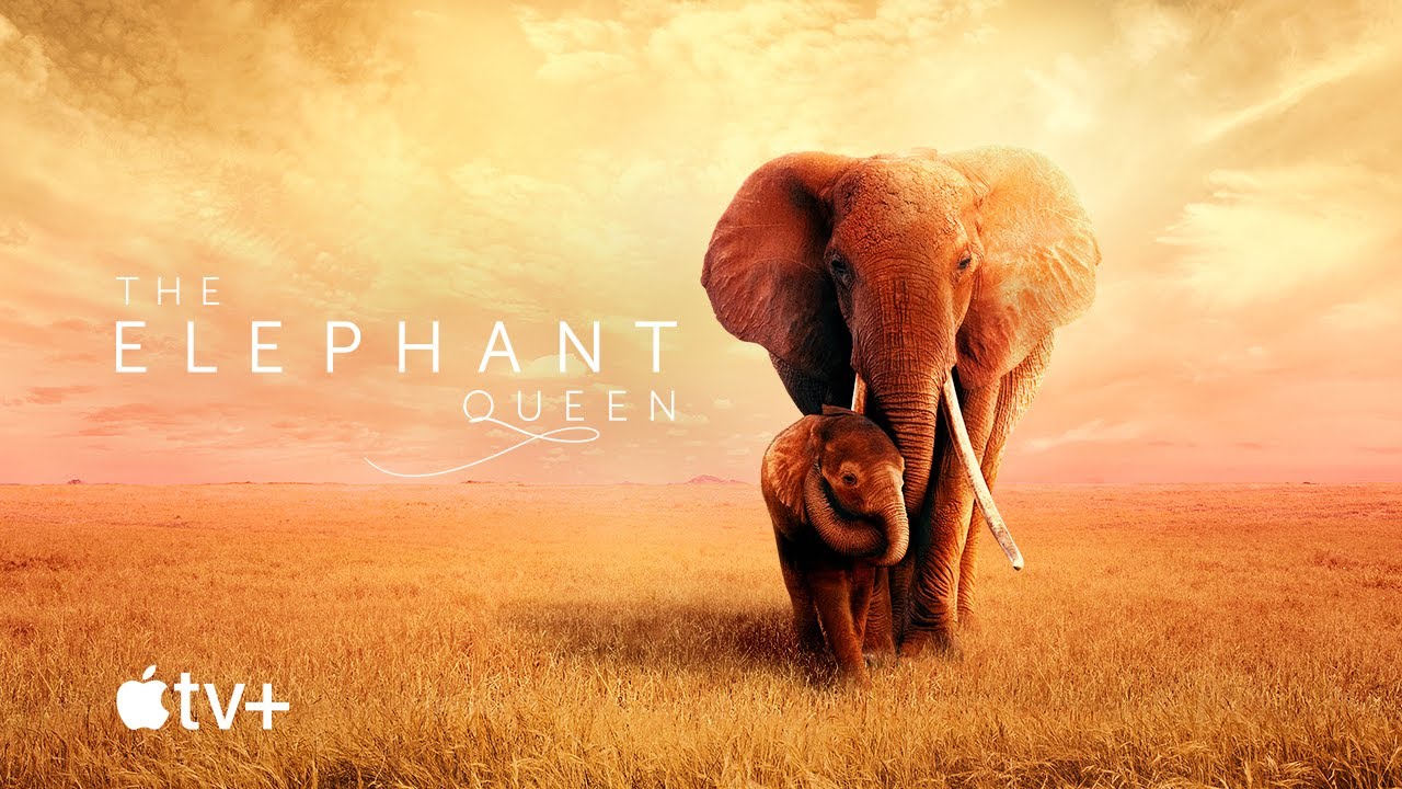 The Elephant Queen, trailer del docufilm Apple Original