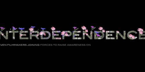 Interdependence, Trailer del film che combina 11 corti su alcuni dei principali effetti del Cambiamento Climatico