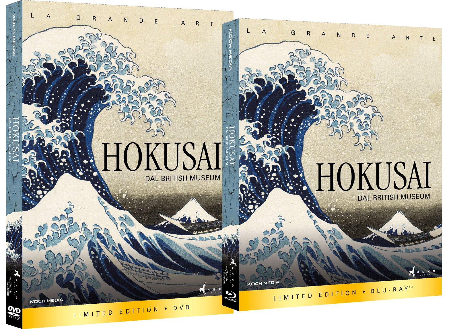 Hokusai dal British Museum - DVD e Blu-Ray