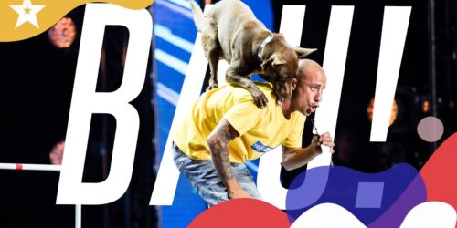 IGT2020: Chico, il cane che gioca a nascondino