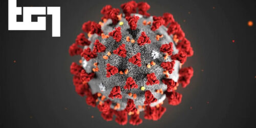 Speciale Tg1 – Pandemia Coronavirus stasera su Rai1 (aggiornato)