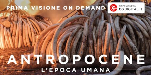 Antropocene – L’epoca umana disponibile in Digitale e su Sky Arte