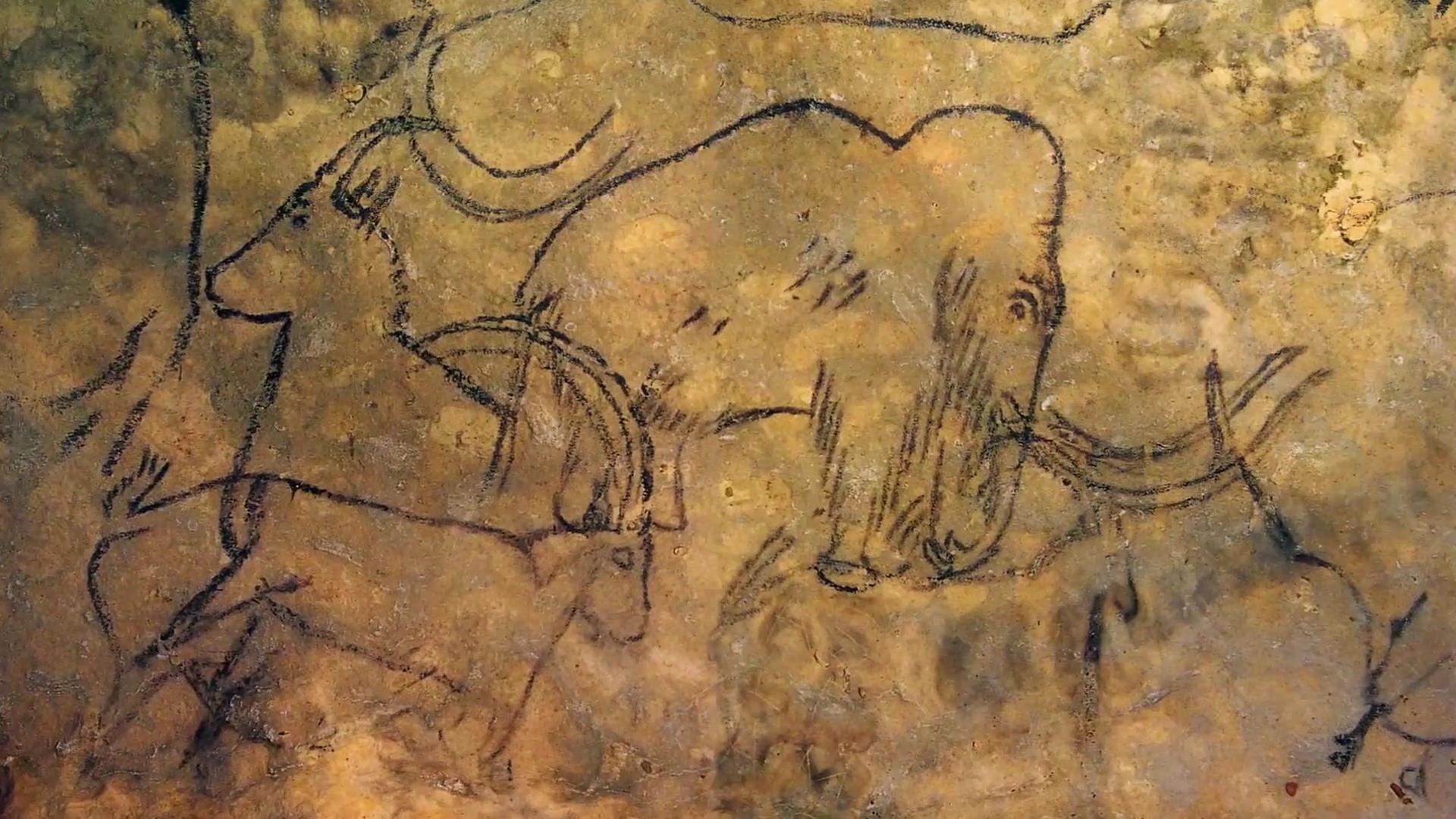 Genesis 2.0, 5 Clip dal docufilm sui risvolti etici delle nuove frontiere della biologia sintetica