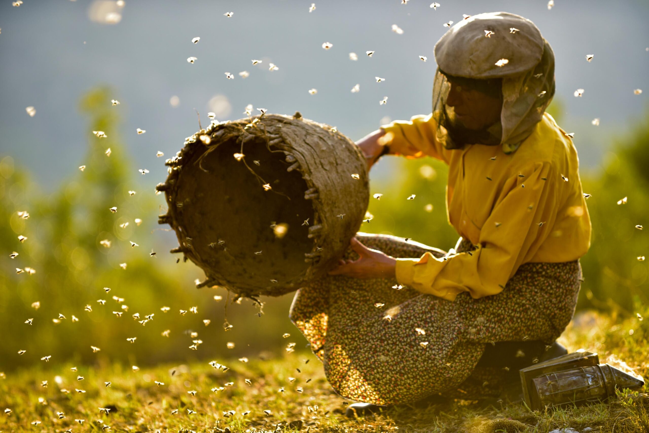 Honeyland - Il Regno delle Api