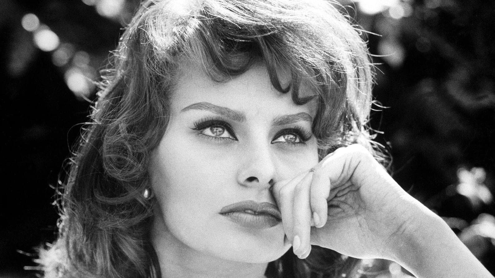 Sophia Loren