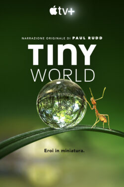 Locandina Tiny World