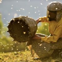 Honeyland – Il Regno delle Api