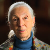 Jane Goodall in ‘Dear…’ su Apple TV+
