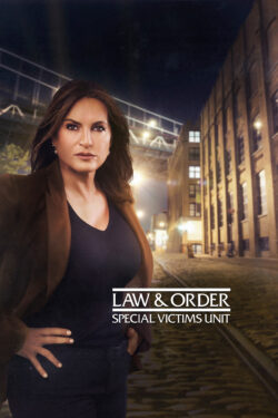 9×05 – Ferite – Law and Order: Special Victims Unit