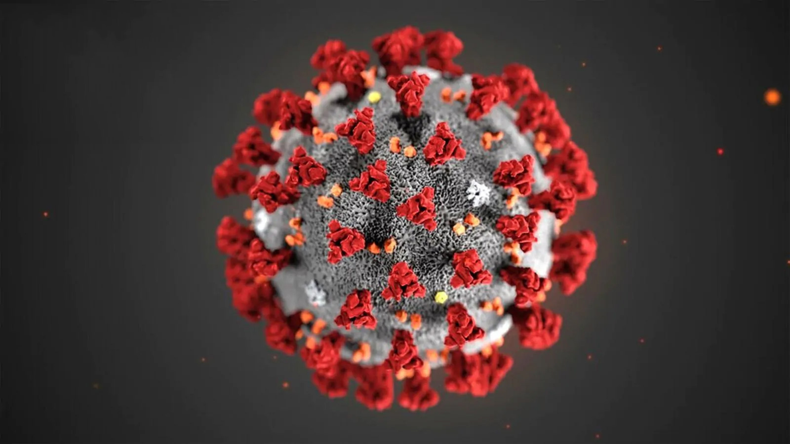 Coronavirus